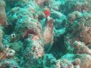 DSC01030.JPG