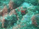 DSC01032.JPG