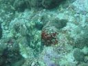 DSC01033.JPG