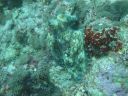 DSC01034.JPG