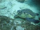 DSC01038.JPG