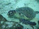 DSC01039.JPG