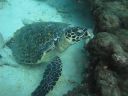 DSC01041.JPG