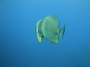 DSC01047.JPG