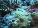DSC01048.JPG