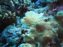 DSC01049.JPG