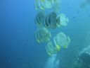 DSC01051.JPG