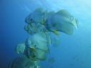 DSC01052.JPG