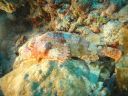 DSC01055.JPG