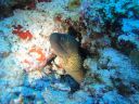 DSC01057.JPG