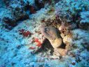 DSC01058.JPG