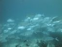DSC01062.JPG