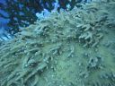 DSC01066.JPG