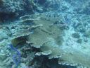 DSC01068.JPG
