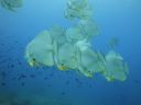DSC01069.JPG