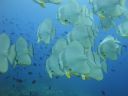 DSC01070.JPG