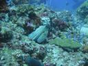 DSC01072.JPG