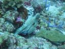DSC01073.JPG