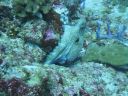 DSC01074.JPG