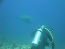 DSC01076.JPG