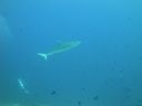 DSC01078.JPG