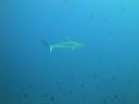 DSC01079.JPG