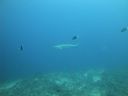 DSC01085.JPG