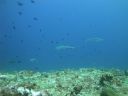 DSC01090.JPG