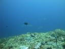DSC01092.JPG