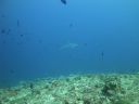 DSC01094.JPG