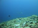 DSC01095.JPG