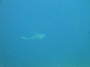 DSC01097.JPG