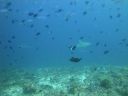 DSC01105.JPG
