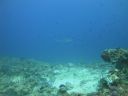 DSC01116.JPG