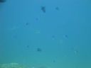 DSC01118.JPG