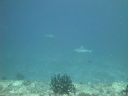 DSC01123.JPG