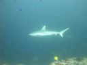 DSC01138.JPG