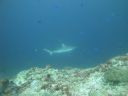 DSC01139.JPG
