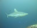 DSC01140.JPG