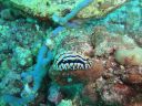 DSC01151.JPG