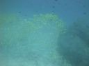 DSC01165.JPG