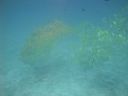 DSC01166.JPG