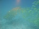 DSC01167.JPG