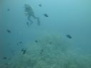 DSC01168.JPG
