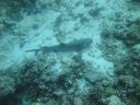 DSC01176.JPG