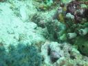 DSC01178.JPG