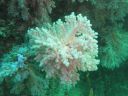 DSC01180.JPG