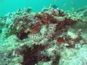 DSC01185.JPG
