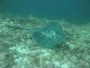 DSC01190.JPG