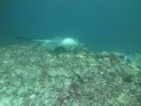 DSC01205.JPG